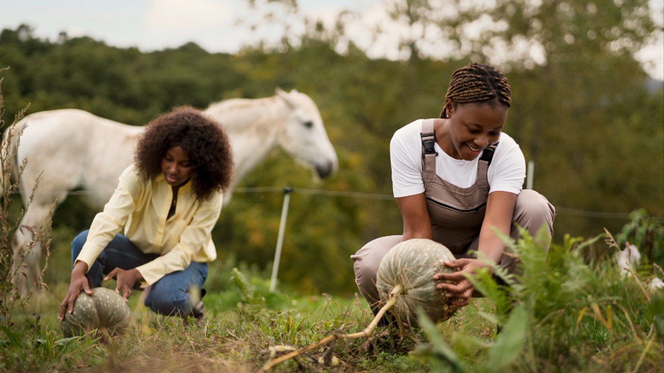 Agro-pastoral Beroukhia